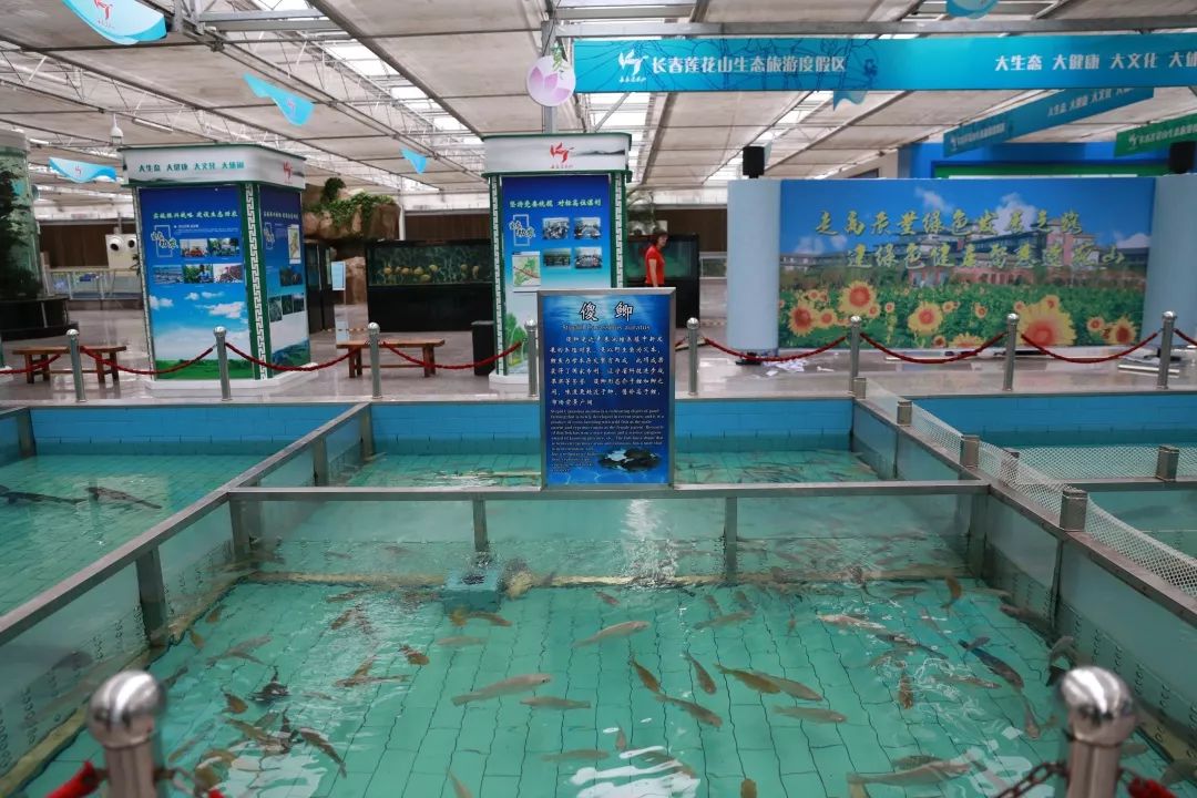 舒伴畜牧养殖